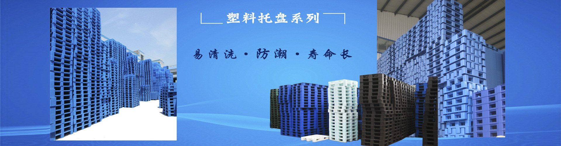 二手塑料托盘供应,二手塑料托盘厂家,山东出售二手塑料托盘
